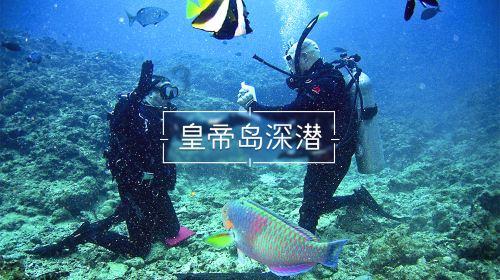 英王爱德华八世，不爱江山爱美人，最终结局如何